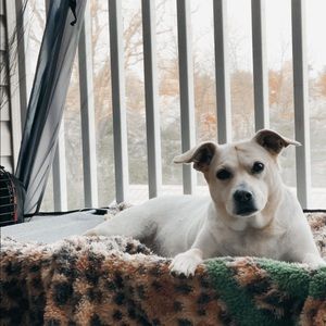 Meet your Posher, Jenna